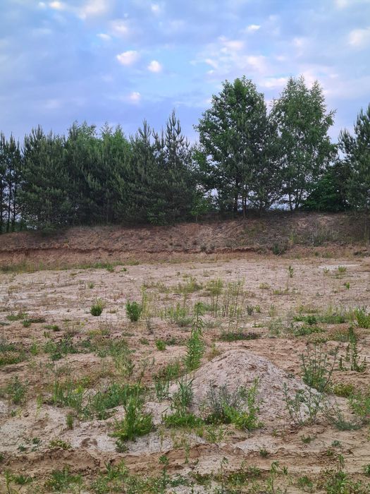 Działka budowlana Brodnica, ul. Wczasowa. Zdjęcie 2