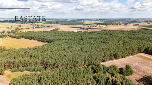 Działka leśna Maurzyce. Zdjęcie 5