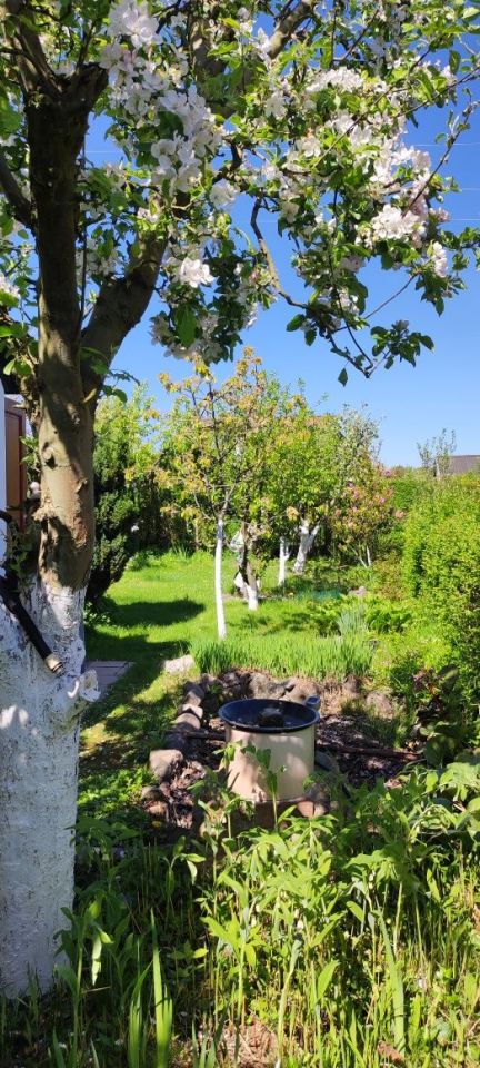 Działka rod Szczecin Płonia, ul. Senna. Zdjęcie 8