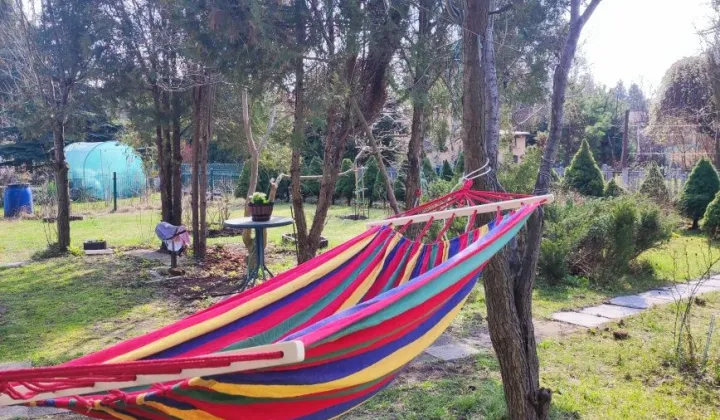 Działka rod Łódź Polesie, ul. Krakowska