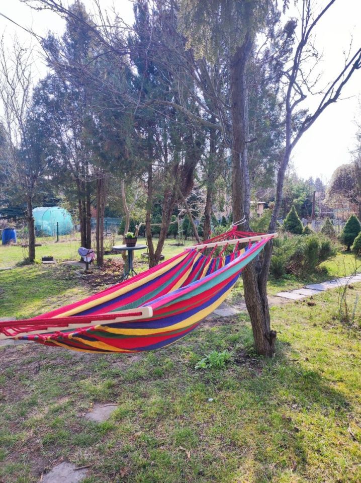 Działka rod Łódź Polesie, ul. Krakowska. Zdjęcie 7