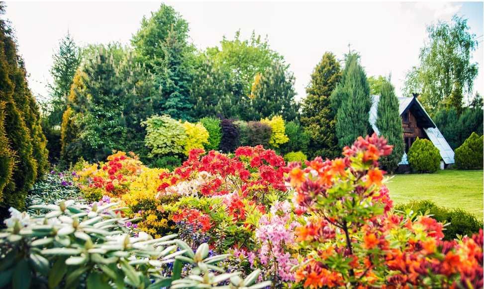 dom wolnostojący Olesno, ul. Małe Przedmieście. Zdjęcie 4