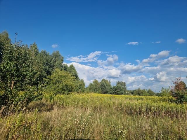 Działka budowlana Poświętne. Zdjęcie 2