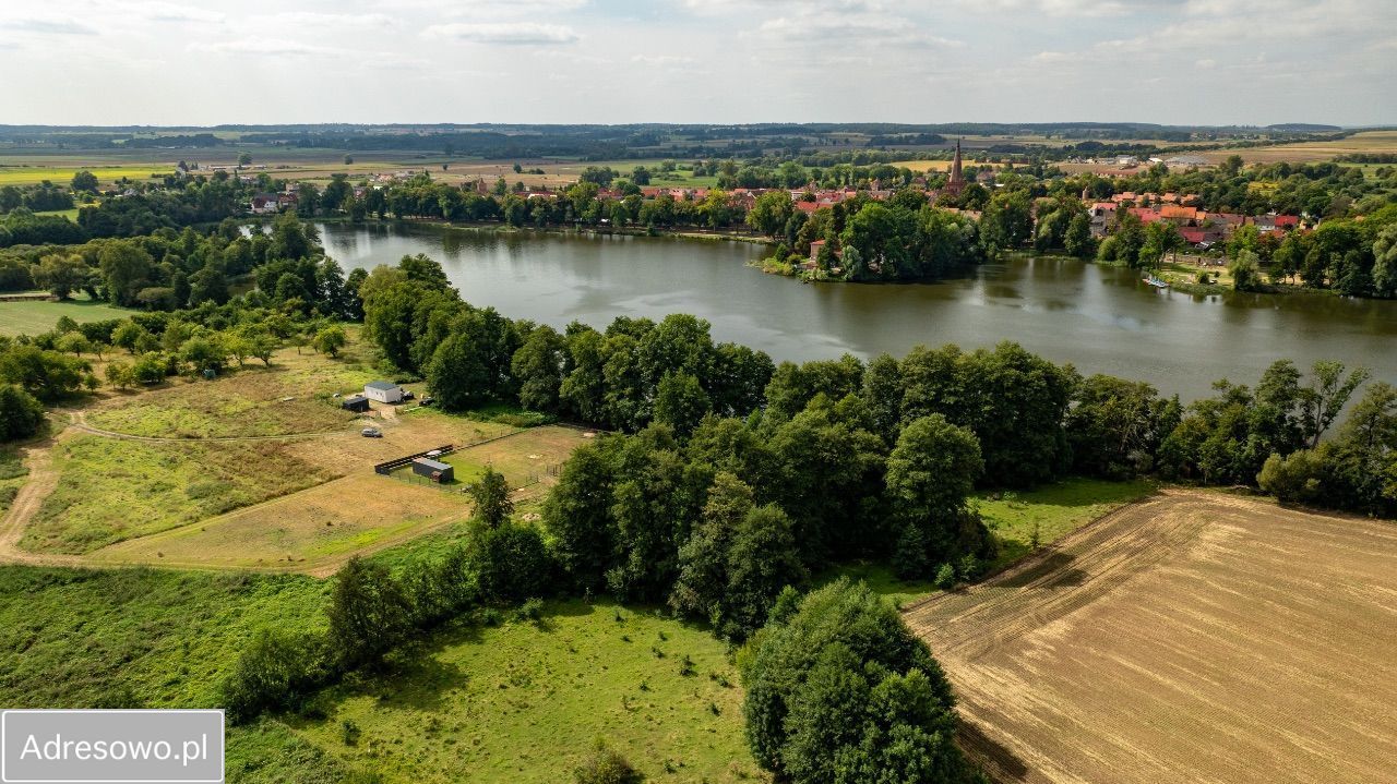 Działka rekreacyjna Trzcińsko-Zdrój. Zdjęcie 11