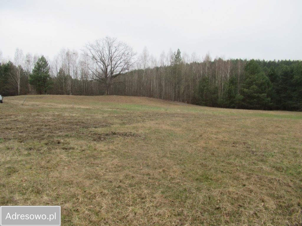 Działka budowlana Majdy, ul. Adama i Ewy. Zdjęcie 7