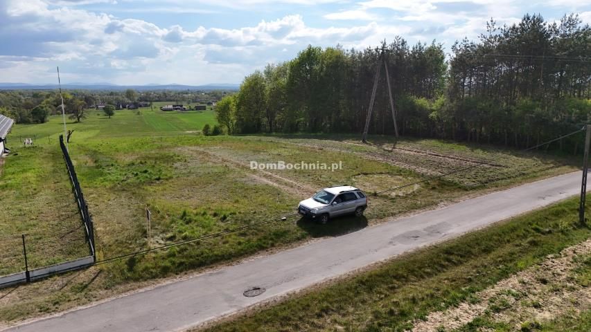 Działka rolno-budowlana Dębina. Zdjęcie 3