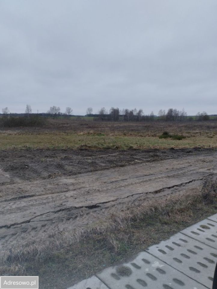 Działka budowlana Wysin. Zdjęcie 4