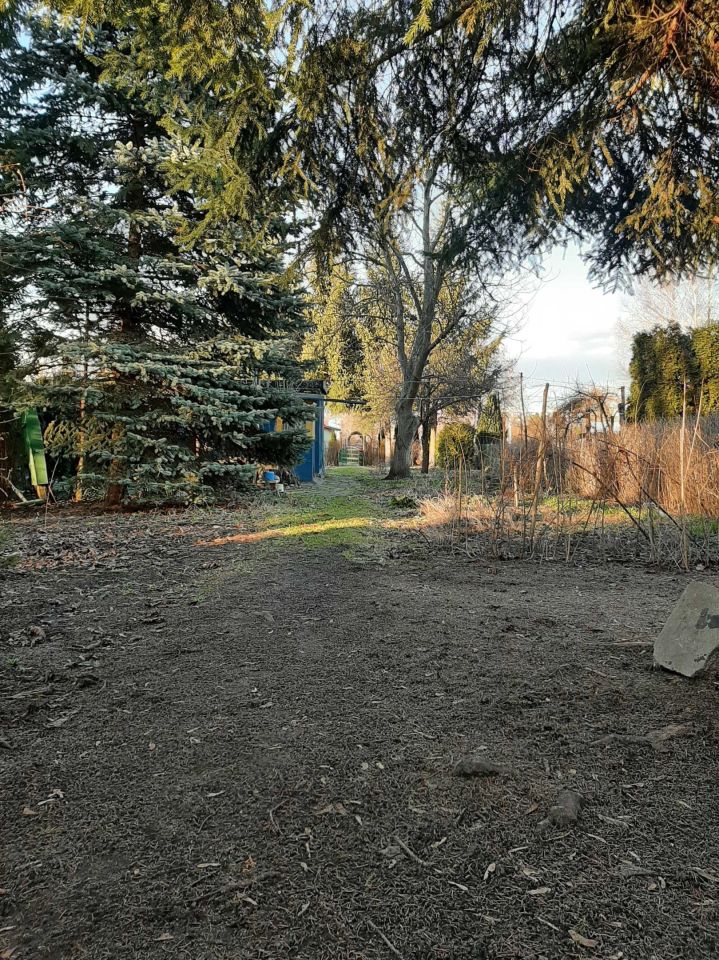 Działka rod Zduńska Wola, ul. Adama Mickiewicza. Zdjęcie 4