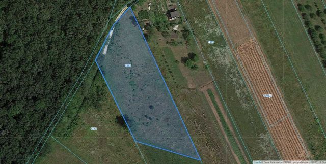 Działka rolno-budowlana Widuchowa. Zdjęcie 1