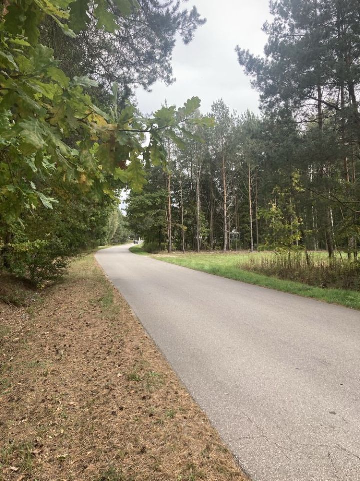 Działka rolna Strugi Krzywickie. Zdjęcie 3