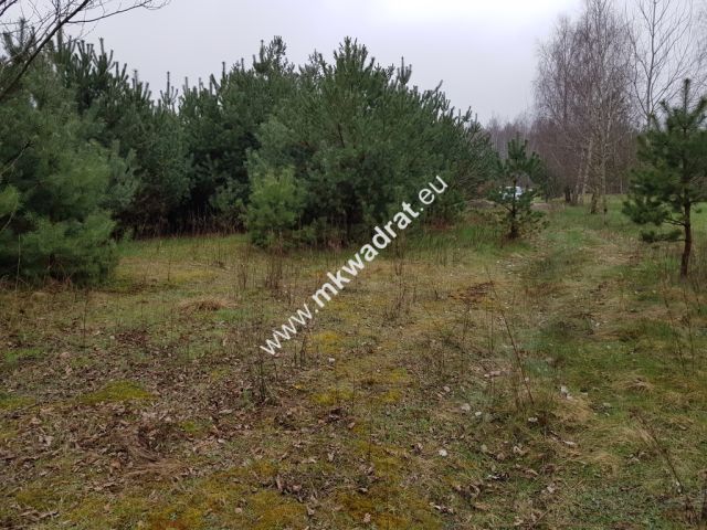 Działka budowlana Marynin. Zdjęcie 6