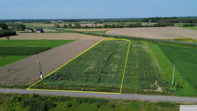 Działka budowlana Kliszów. Zdjęcie 1