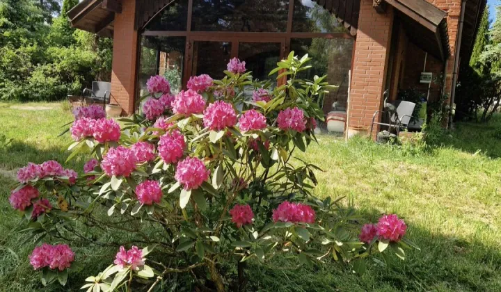 siedlisko, 6 pokoi Brąswałd