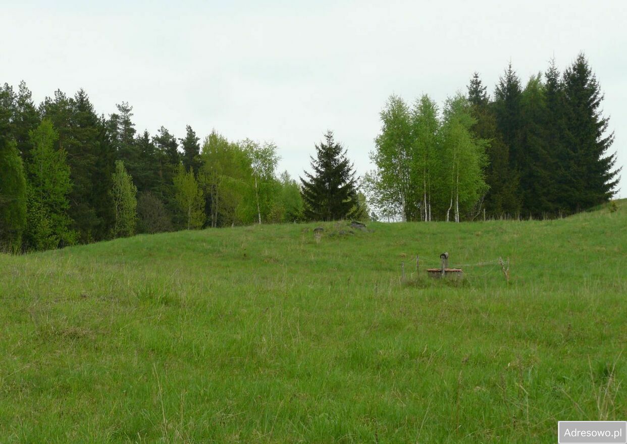 Działka siedliskowa Wólka. Zdjęcie 2