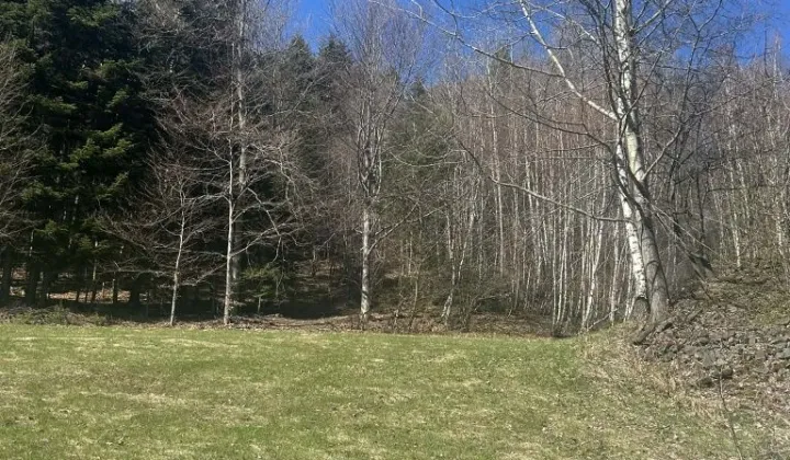 Działka rolna Żmiąca