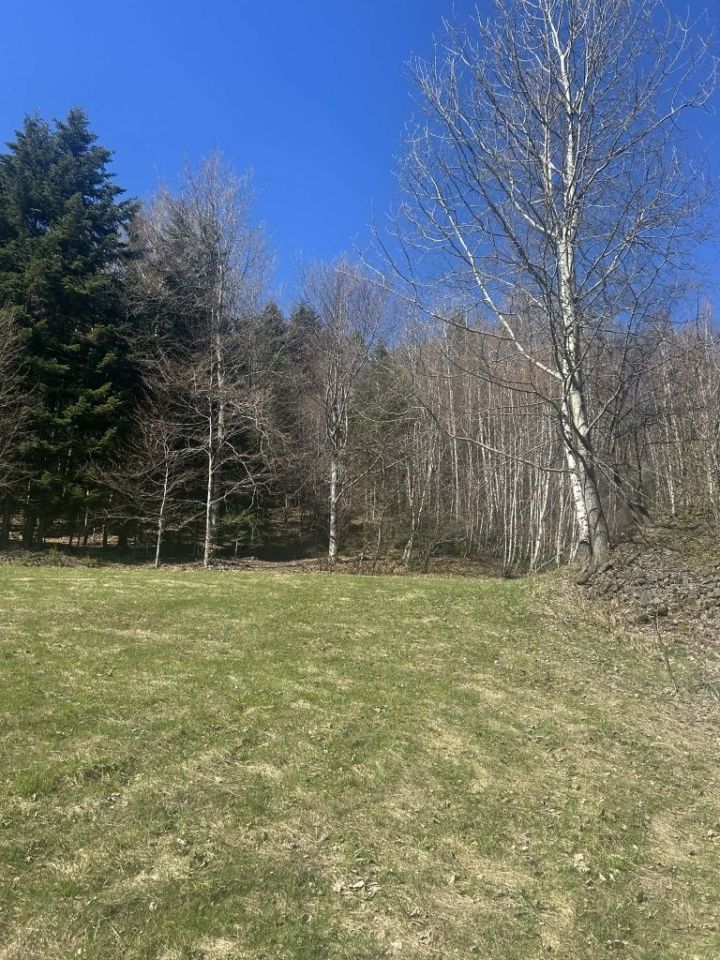 Działka rolna Żmiąca. Zdjęcie 1