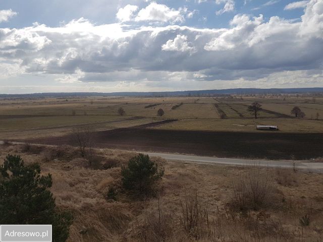Działka budowlana Mrzezino, ul. Zakopiańska. Zdjęcie 1