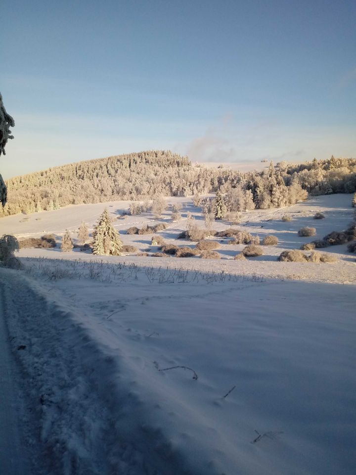 Działka siedliskowa Poniatów. Zdjęcie 3