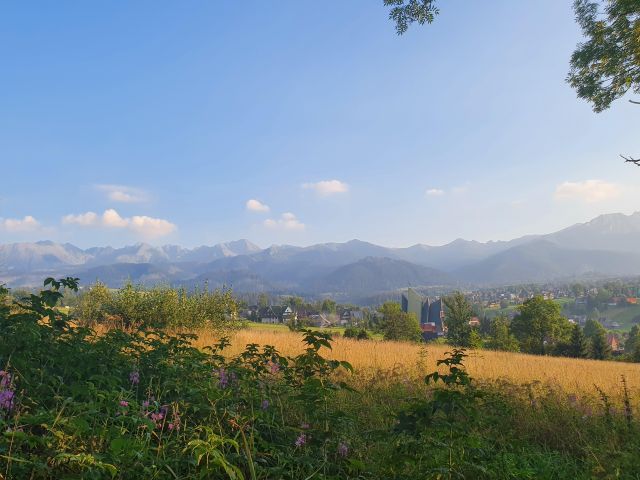 Działka rolno-budowlana Zakopane Olcza. Zdjęcie 2