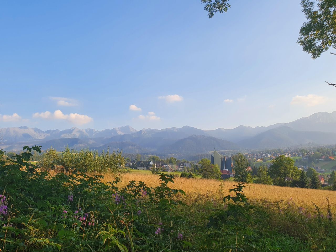 Działka rolno-budowlana Zakopane Olcza. Zdjęcie 2