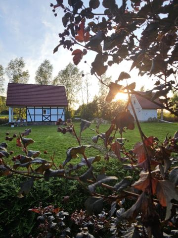 siedlisko Łącko. Zdjęcie 1