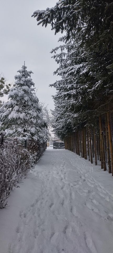 dom wolnostojący, 5 pokoi Barycz Stara. Zdjęcie 10