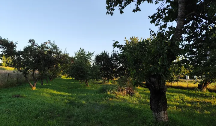 Działka rolna Suchań, ul. Młyńska