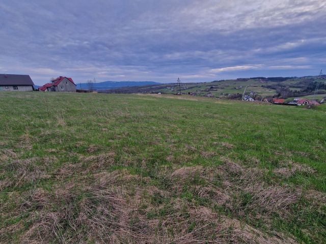 Działka budowlana Trzetrzewina. Zdjęcie 1