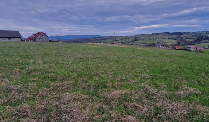 Działka budowlana Trzetrzewina
