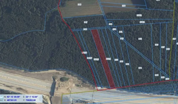 Działka leśna Chojeczno-Sybilaki