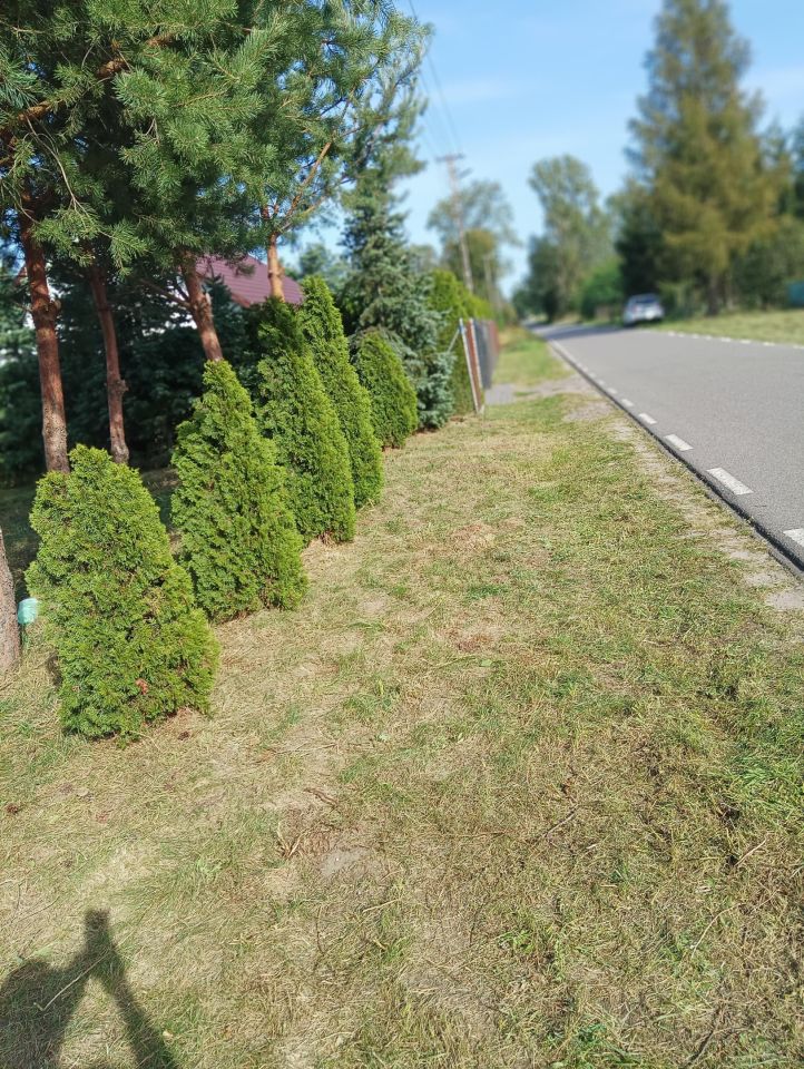 Działka rolno-budowlana Kowalewice, 42. Zdjęcie 5
