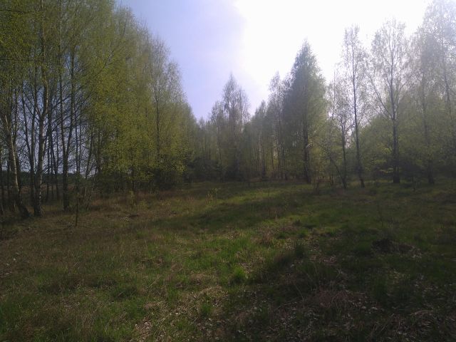 Działka budowlana Szumlin. Zdjęcie 9