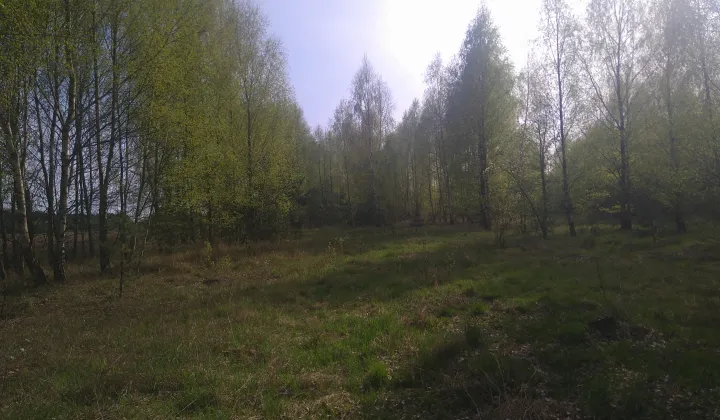 Działka budowlana Szumlin