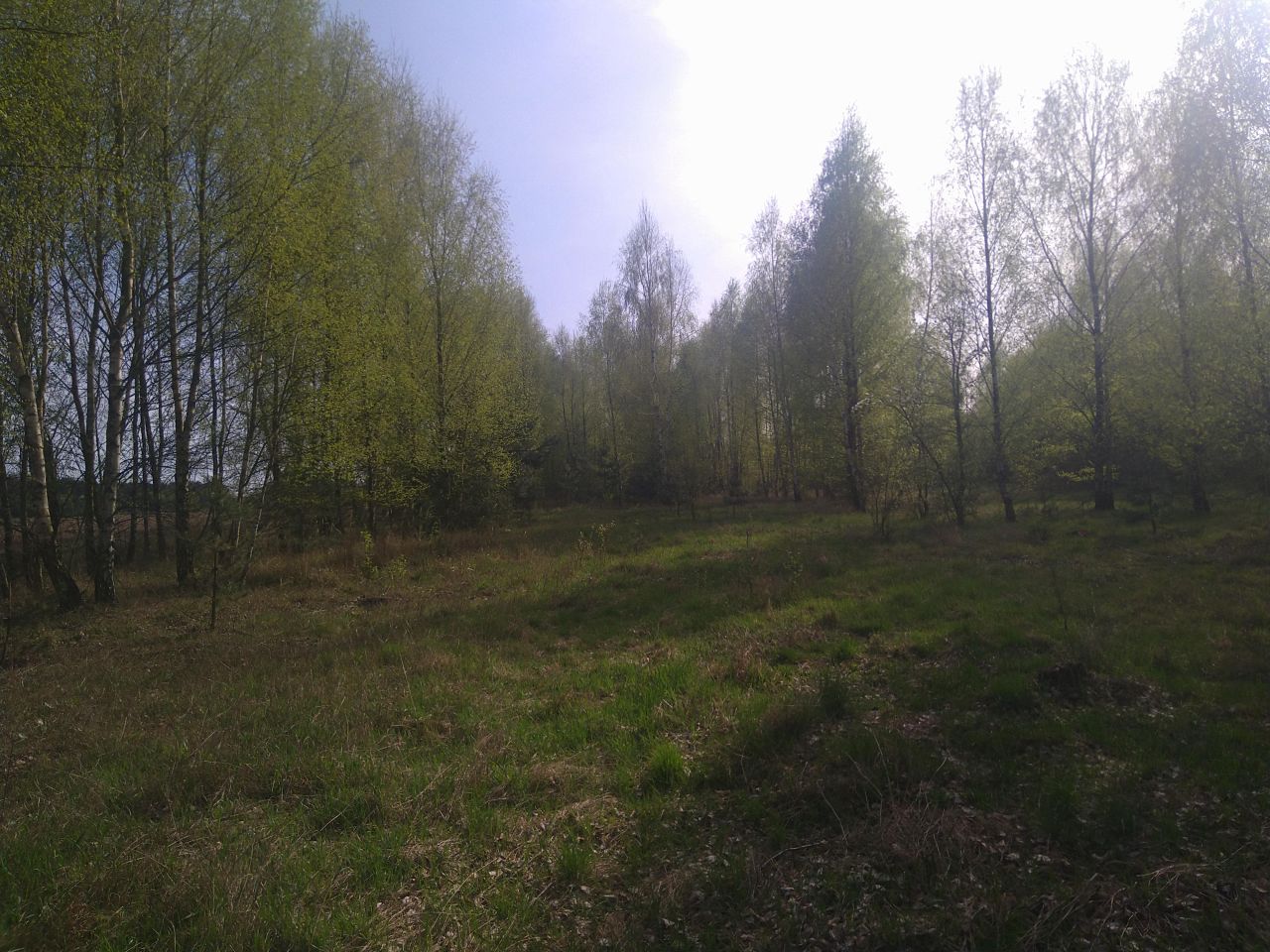 Działka budowlana Szumlin. Zdjęcie 9