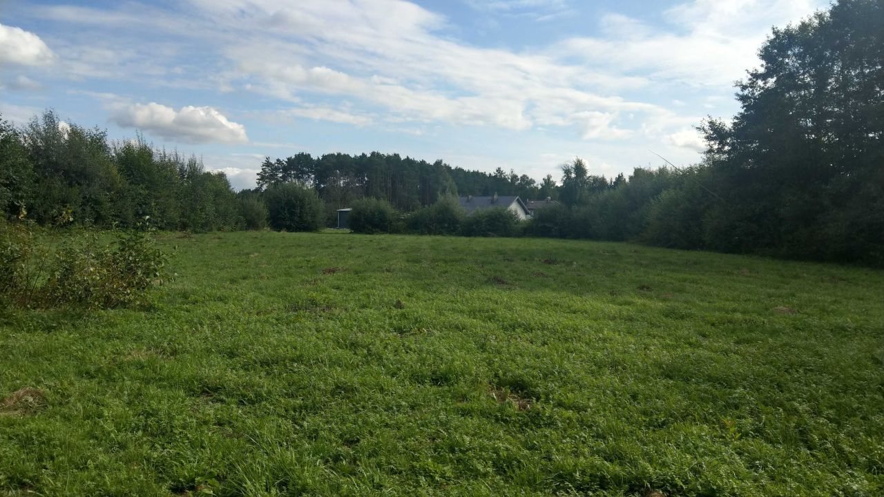 Działka rolna Brzeźce, ul. Ogrodowa. Zdjęcie 4