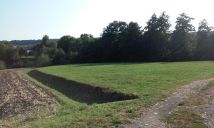 Działka rolna Witoszyńce. Zdjęcie 4