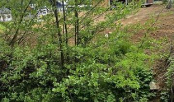 dom wolnostojący, 5 pokoi Zawada