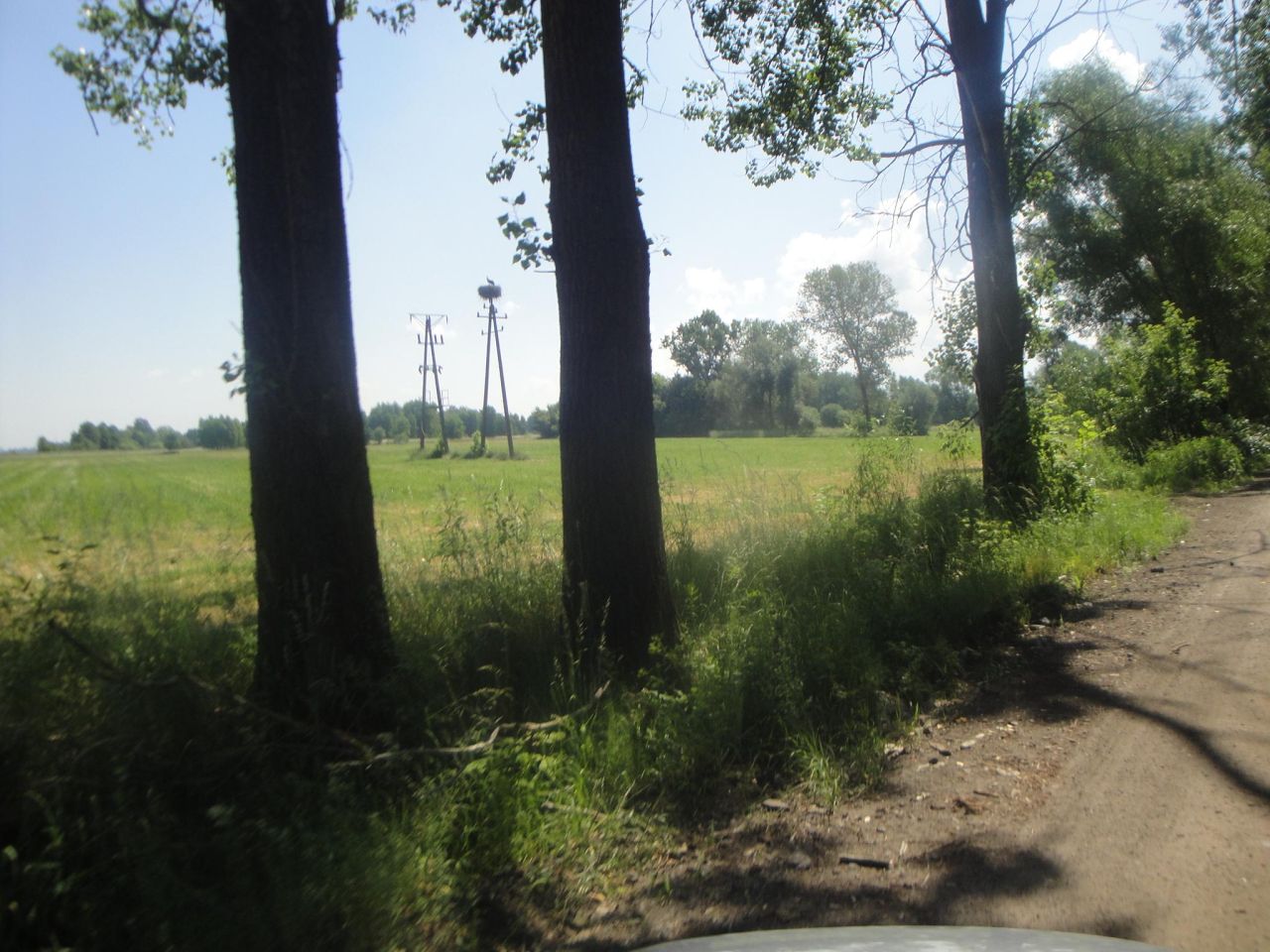 Działka rolno-budowlana Baranów, ul. Brzozowa. Zdjęcie 7