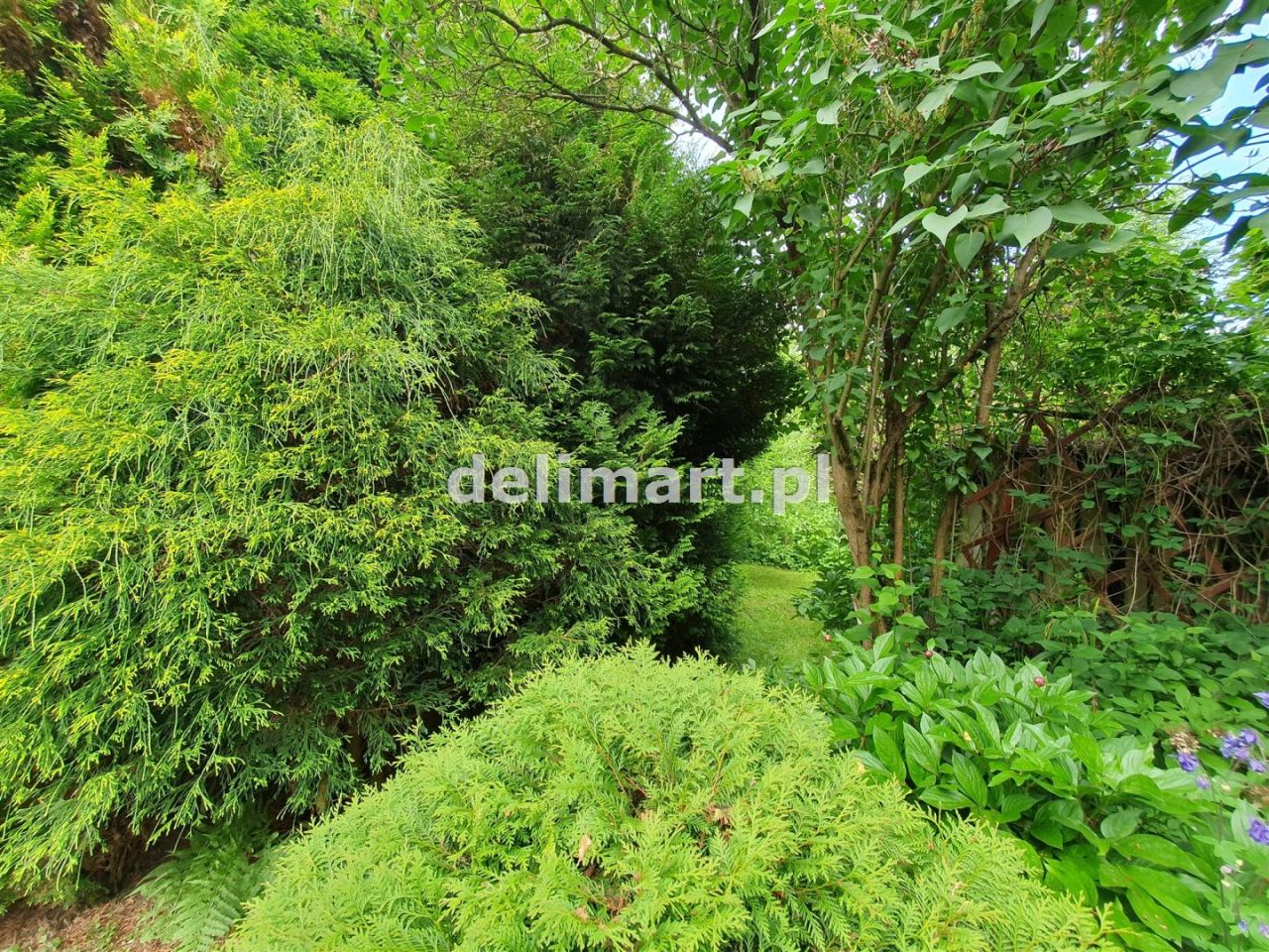 Działka rod Sanok Posada Sanocka, ul. Działkowa. Zdjęcie 16