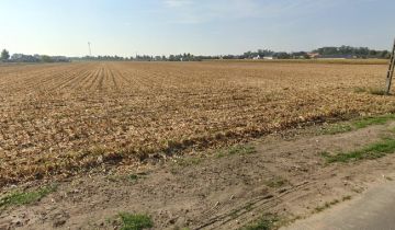 Działka budowlana Żelazków