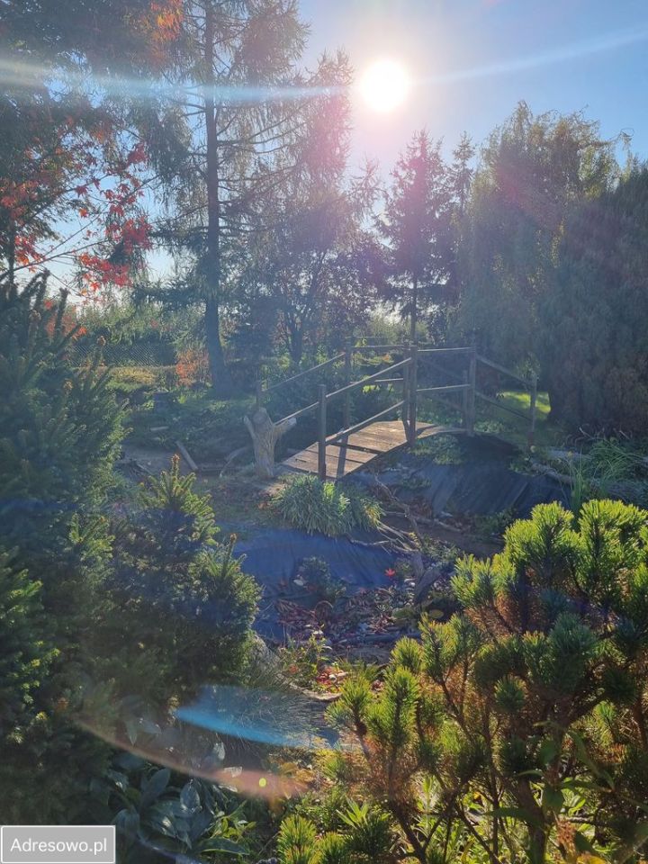 Działka rolno-budowlana Boduszyn. Zdjęcie 6