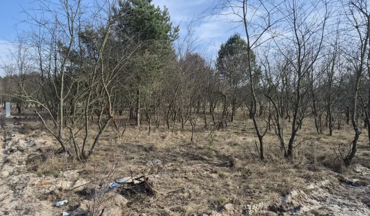 Działka budowlana Wszemirów