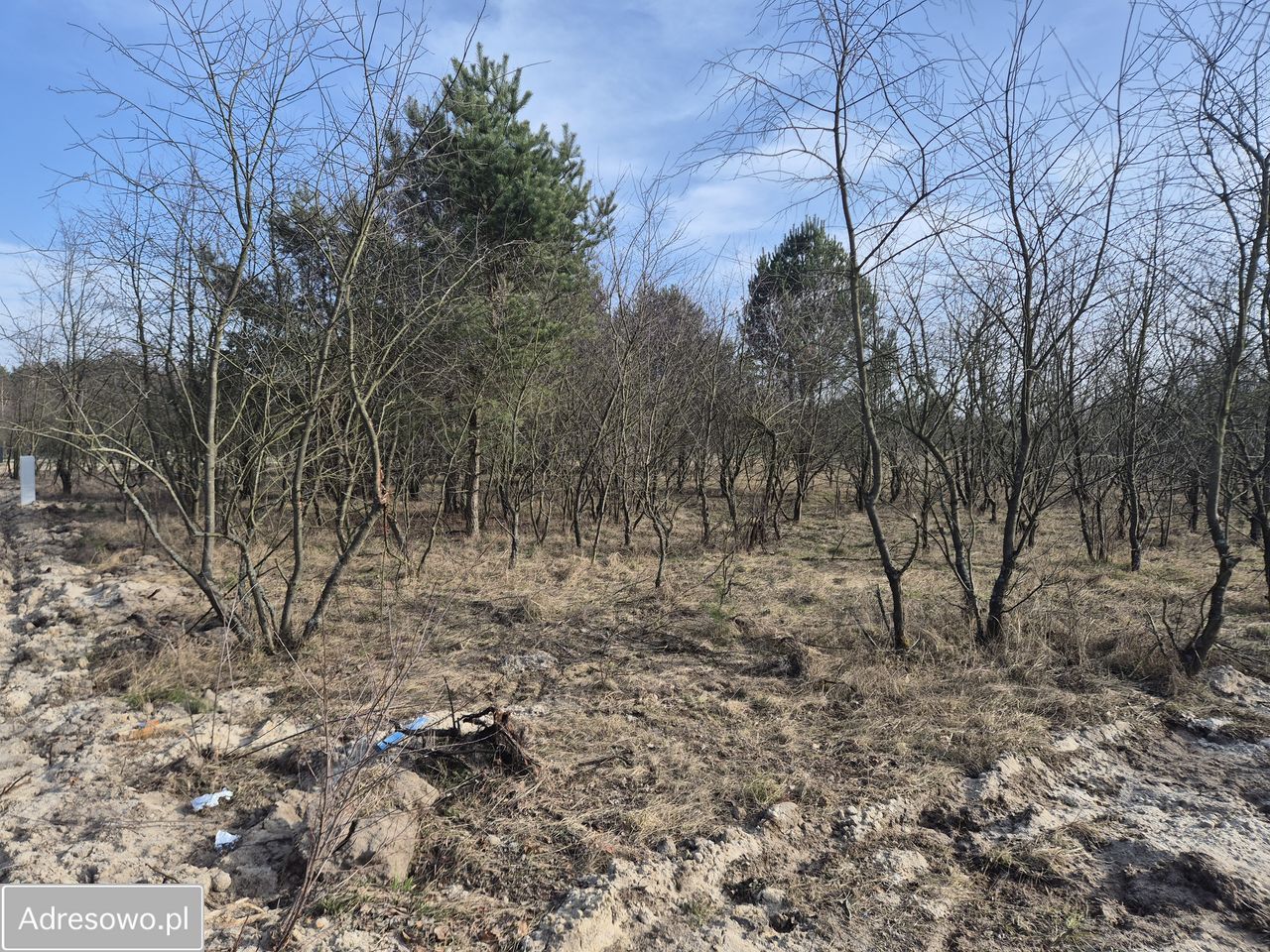 Działka budowlana Wszemirów. Zdjęcie 1