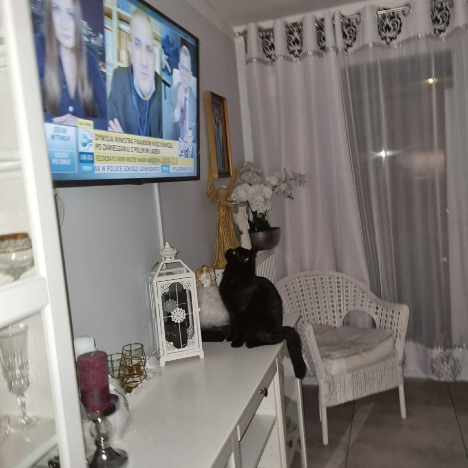 Mieszkanie 3-pokojowe Warszawa Wola. Zdjęcie 2