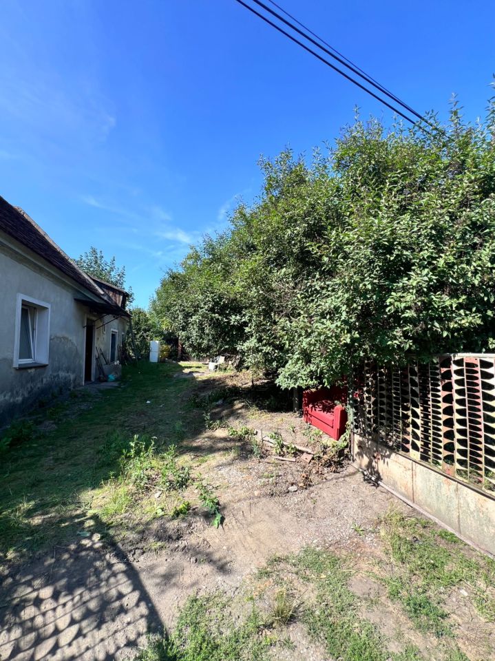 dom wolnostojący, 3 pokoje Sękowice. Zdjęcie 3
