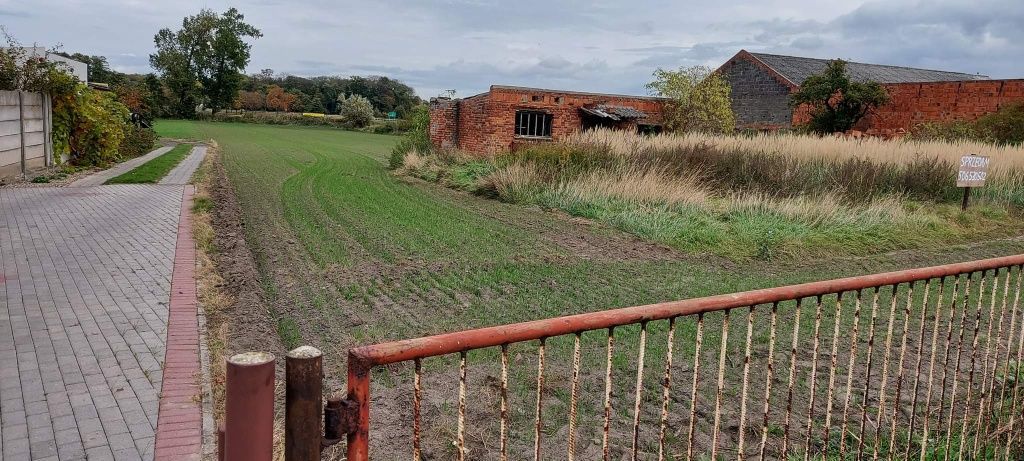 Działka rolno-budowlana Glińsko. Zdjęcie 1