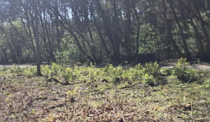 Działka budowlana Wołomin Mironowe Górki