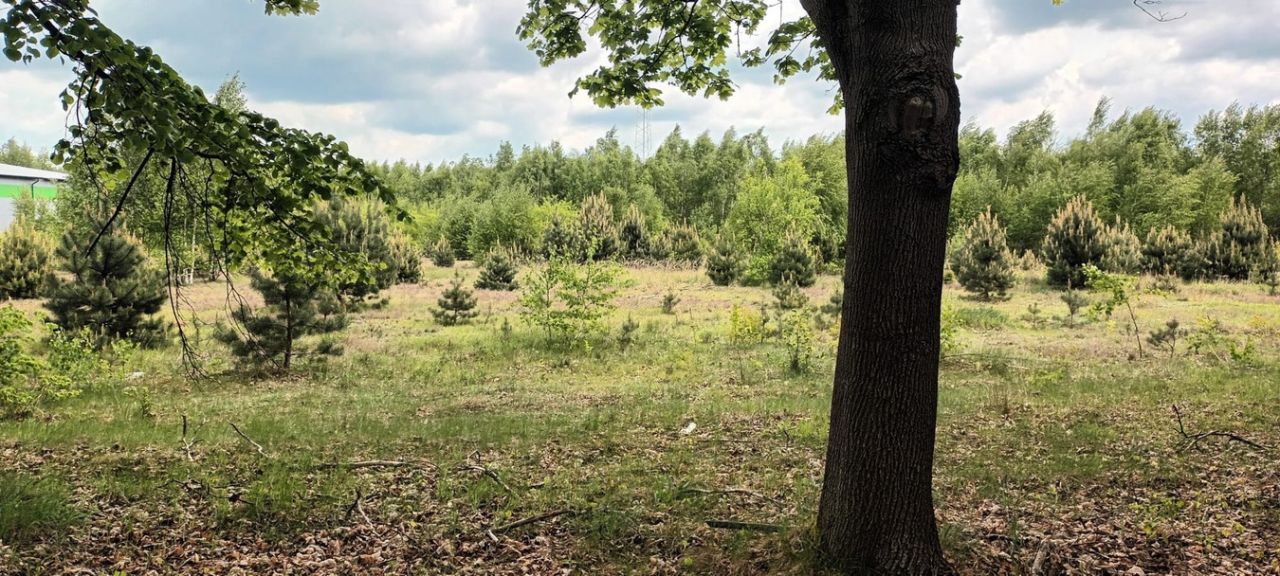 Działka inwestycyjna Kozły. Zdjęcie 2