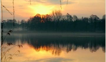 dom wolnostojący, 6 pokoi Michałki