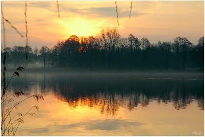 dom wolnostojący, 6 pokoi Michałki. Zdjęcie 2